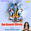 About Om Namah Shivay Song